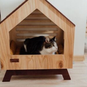 A cozy domestic cat rests inside a modern wooden pet house, creating a warm home ambiance.